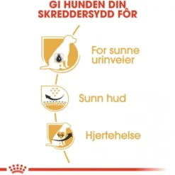 Royal Canin Dalmatian Adult tørrfôr til hund