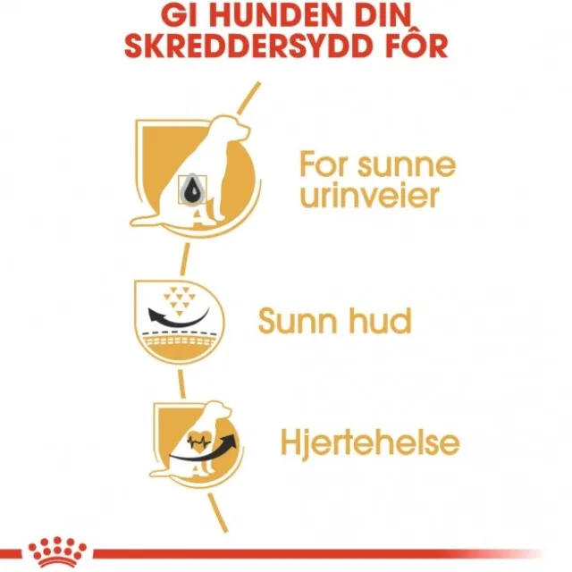 Royal Canin Dalmatian Adult tørrfôr til hund