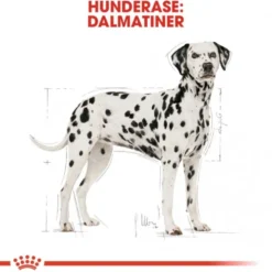 Royal Canin Dalmatian Adult tørrfôr til hund