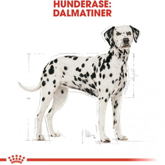 Royal Canin Dalmatian Adult tørrfôr til hund