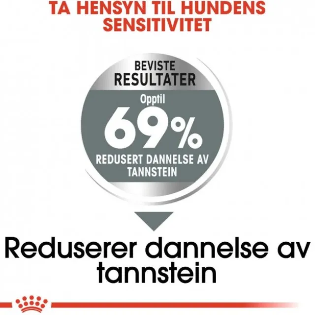 Royal Canin Dental Care Mini Adult tørrfôr til hund
