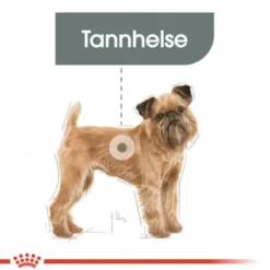Royal Canin Dental Care Mini Adult tørrfôr til hund