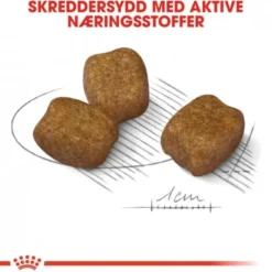 Royal Canin Dental Care Mini Adult tørrfôr til hund