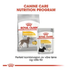Royal Canin Dermacomfort Maxi Adult tørrfôr til hund