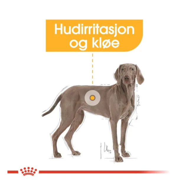 Royal Canin Dermacomfort Maxi Adult tørrfôr til hund