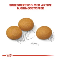 Royal Canin Dermacomfort Maxi Adult tørrfôr til hund