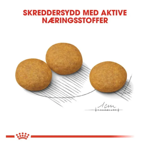 Royal Canin Dermacomfort Medium Adult tørrfôr til hund