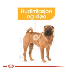 Royal Canin Dermacomfort Medium Adult tørrfôr til hund