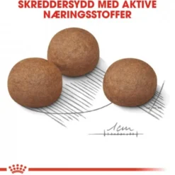 Royal Canin Digestive Care Maxi Adult tørrfôr til hund