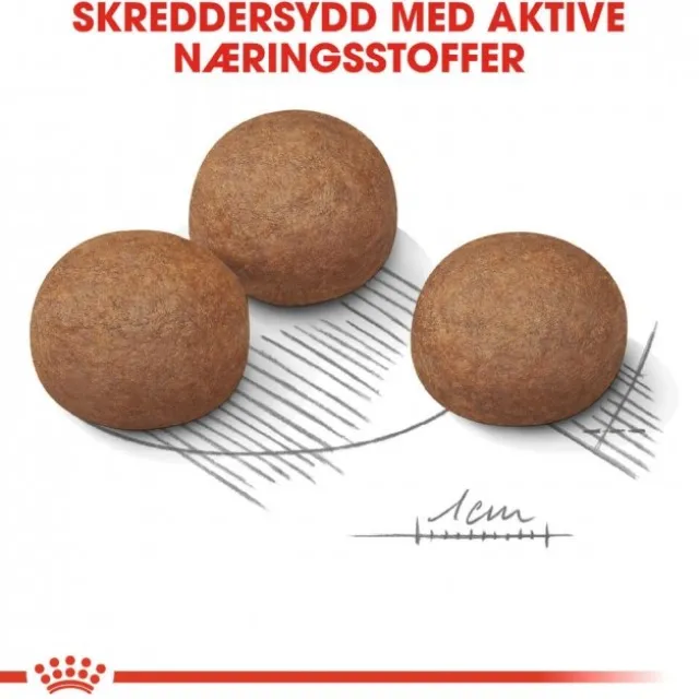 Royal Canin Digestive Care Maxi Adult tørrfôr til hund