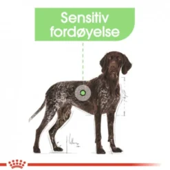 Royal Canin Digestive Care Maxi Adult tørrfôr til hund
