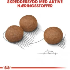 Royal Canin Digestive Care Medium Adult tørrfôr til hund