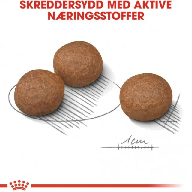 Royal Canin Digestive Care Medium Adult tørrfôr til hund