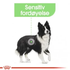 Royal Canin Digestive Care Medium Adult tørrfôr til hund