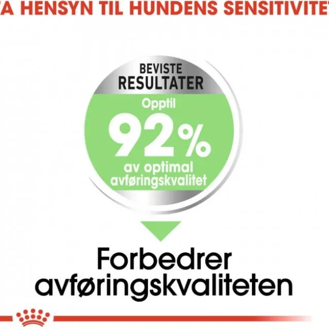 Royal Canin Digestive Care Mini Adult tørrfôr til hund