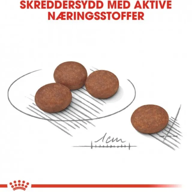 Royal Canin Digestive Care Mini Adult tørrfôr til hund