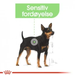 Royal Canin Digestive Care Mini Adult tørrfôr til hund