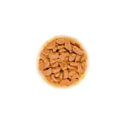 Royal Canin FHN Ageing 11+ CIG pouch 12X85G