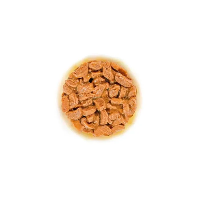Royal Canin FHN Ageing 11+ CIG pouch 12X85G