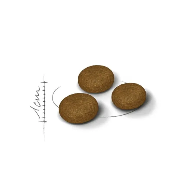 Royal Canin FHN Fussy