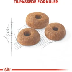 Royal Canin Fit Adult tørrfôr til katt