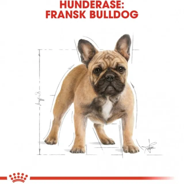 Royal Canin French Bulldog Adult tørrfôr til hund