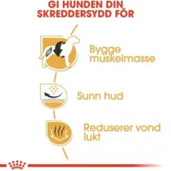 Royal Canin French Bulldog Adult tørrfôr til hund