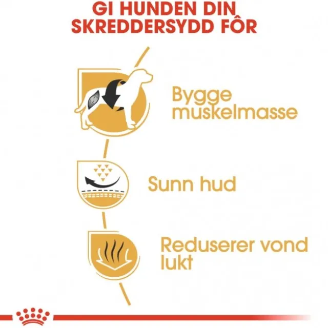 Royal Canin French Bulldog Adult tørrfôr til hund