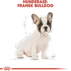 Royal Canin French Bulldog Puppy tørrfôr til hundvalp