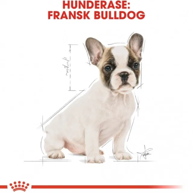 Royal Canin French Bulldog Puppy tørrfôr til hundvalp