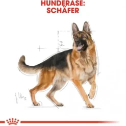 Royal Canin German Shepherd Adult tørrfôr til hund