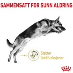 Royal Canin German Shepherd Adult 5+ tørrfôr til hund
