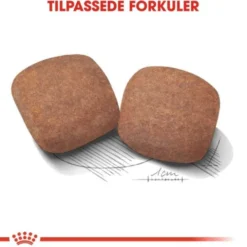 Royal Canin Giant Adult tørrfôr til hund
