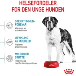 Royal Canin Giant Junior tørrfôr til valp