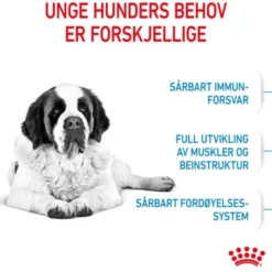 Royal Canin Giant Junior tørrfôr til valp