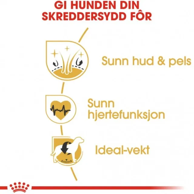 Royal Canin Golden Retriever Adult tørrfôr til hund