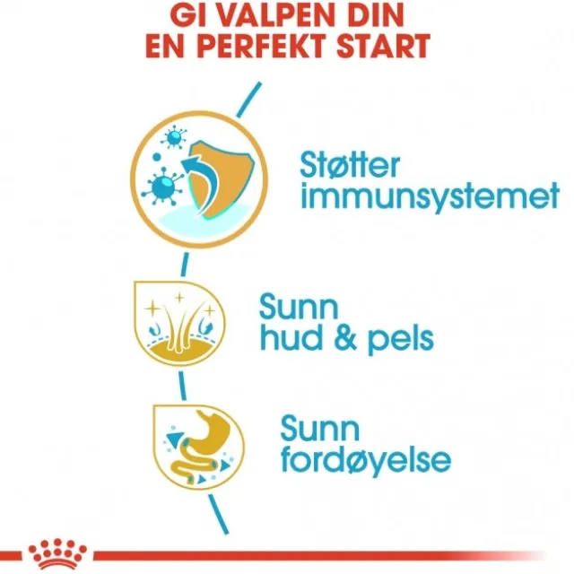 Royal Canin Golden Retriever Puppy tørrfôr til hundvalp
