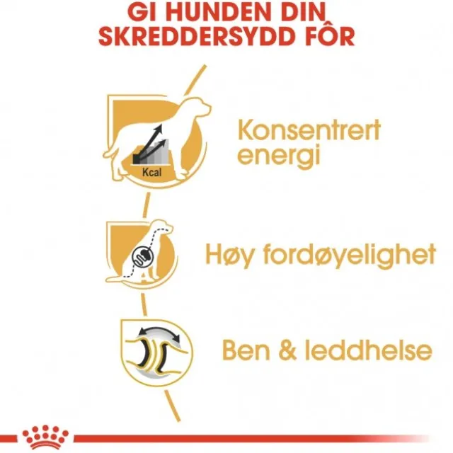 Royal Canin Great Dane Adult tørrfôr til hund