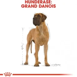 Royal Canin Great Dane Adult tørrfôr til hund