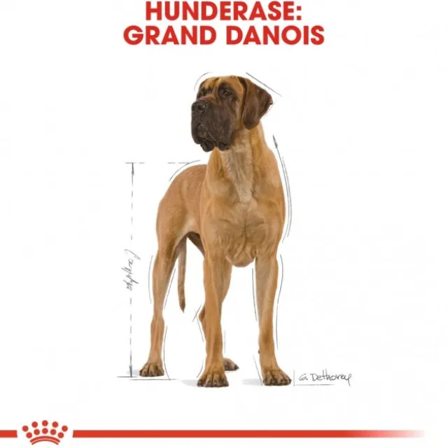 Royal Canin Great Dane Adult tørrfôr til hund