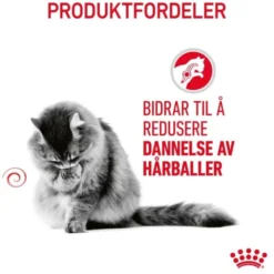Royal Canin Hairball Care Adult tørrfôr til katt
