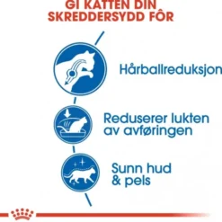 Royal Canin Indoor Long Hair Adult tørrfôr til katt