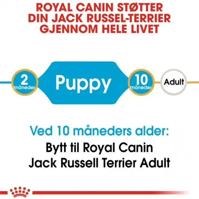 Royal Canin Jack Russell Terrier Puppy tørrfôr til hundvalp