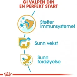 Royal Canin Jack Russell Terrier Puppy tørrfôr til hundvalp