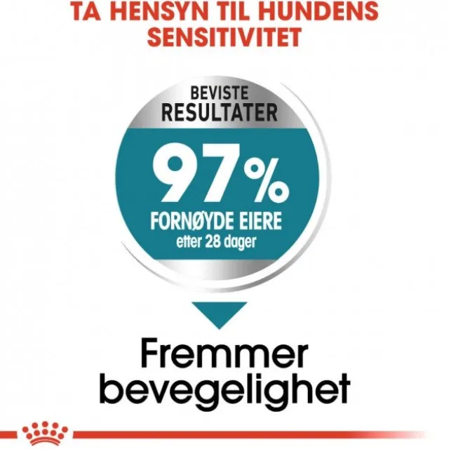 Royal Canin Joint Care Maxi Adult tørrfôr til hund