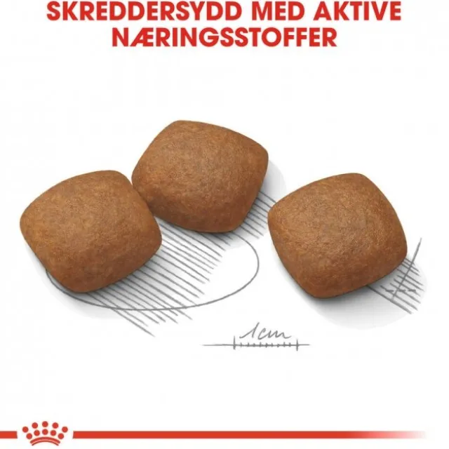 Royal Canin Joint Care Maxi Adult tørrfôr til hund
