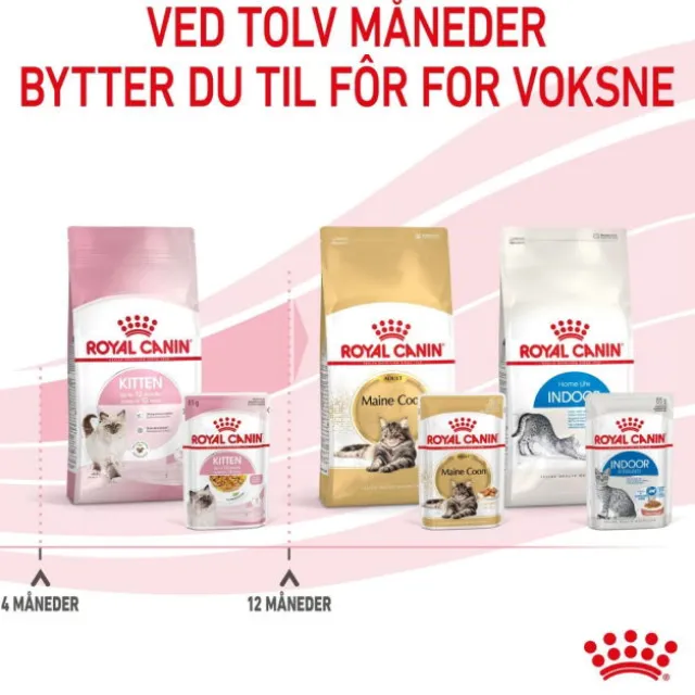 Royal Canin Kitten Jelly våtfôr til kattunge 12x85g