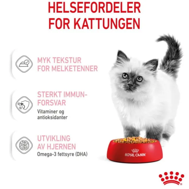 Royal Canin Kitten Jelly våtfôr til kattunge 12x85g