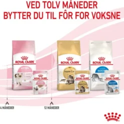 Royal Canin Kitten Patè in Gravy 12x85g
