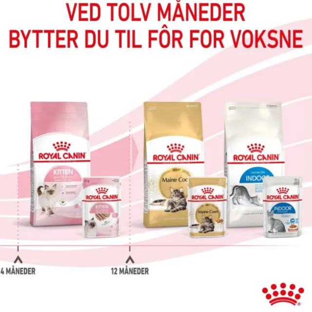 Royal Canin Kitten Patè in Gravy 12x85g